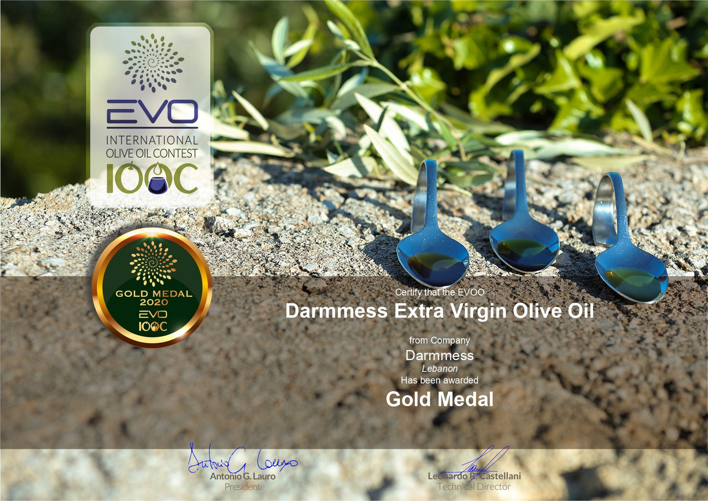 Darmmess High Phenolic Premium Extra Virgin Olive Oil - Early Harvest